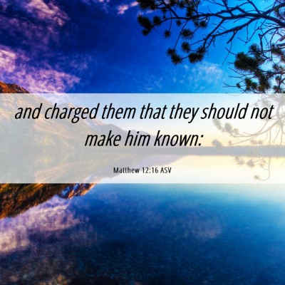 Picture 06 - Matthew 12:16 ASV - and charged them that they should not make him - Bible Verse Picture
