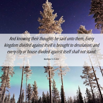 Picture 06 - Matthew 12:25 ASV - And knowing their thoughts he said unto them, - Bible Verse Picture