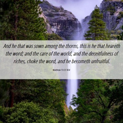 Picture 06 - Matthew 13:22 ASV - And he that was sown among the thorns, this is he - Bible Verse Picture