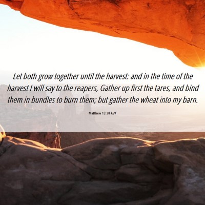 Picture 06 - Matthew 13:30 ASV - Let both grow together until the harvest: and in - Bible Verse Picture