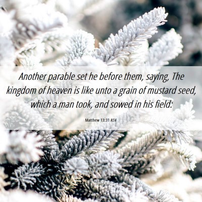 Picture 06 - Matthew 13:31 ASV - Another parable set he before them, saying, The - Bible Verse Picture