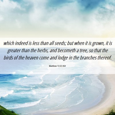 Picture 06 - Matthew 13:32 ASV - which indeed is less than all seeds; but when it - Bible Verse Picture