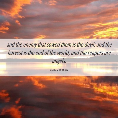 Picture 06 - Matthew 13:39 ASV - and the enemy that sowed them is the devil: and - Bible Verse Picture