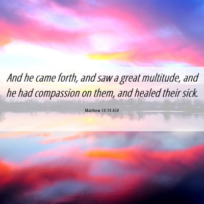 Picture 06 - Matthew 14:14 ASV - And he came forth, and saw a great multitude, and - Bible Verse Picture