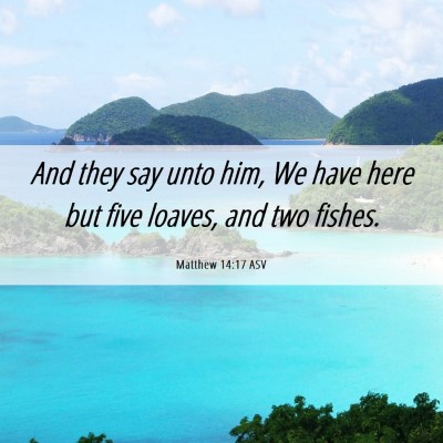 Picture 06 - Matthew 14:17 ASV - And they say unto him, We have here but five - Bible Verse Picture