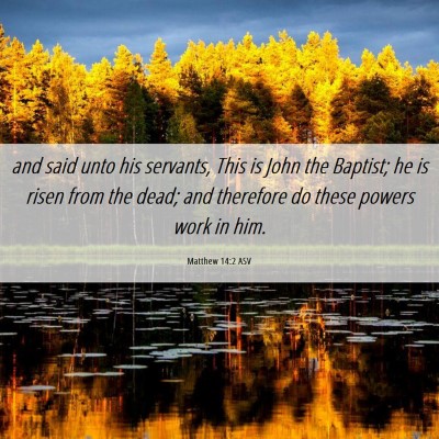 Picture 06 - Matthew 14:2 ASV - and said unto his servants, This is John the - Bible Verse Picture