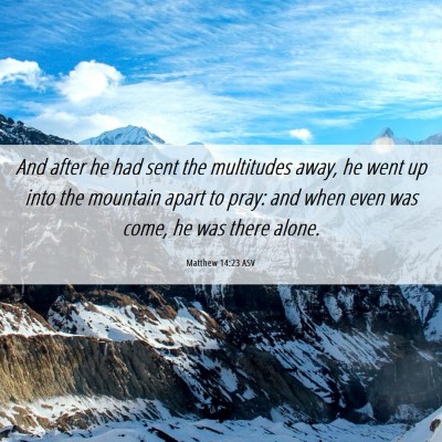 Picture 06 - Matthew 14:23 ASV - And after he had sent the multitudes away, he - Bible Verse Picture