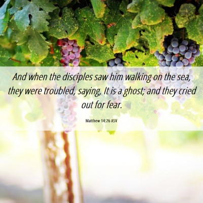 Picture 06 - Matthew 14:26 ASV - And when the disciples saw him walking on the - Bible Verse Picture