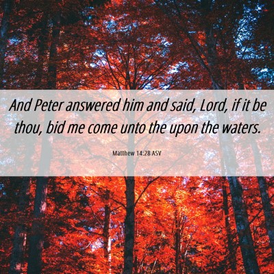 Picture 06 - Matthew 14:28 ASV - And Peter answered him and said, Lord, if it be - Bible Verse Picture