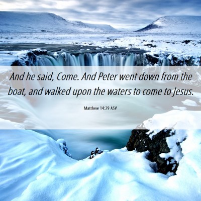 Picture 06 - Matthew 14:29 ASV - And he said, Come. And Peter went down from the - Bible Verse Picture