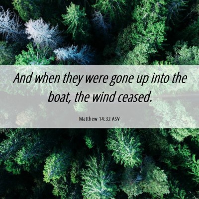 Picture 06 - Matthew 14:32 ASV - And when they were gone up into the boat, the - Bible Verse Picture