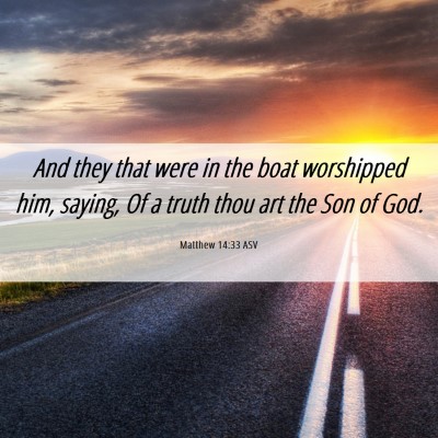 Picture 06 - Matthew 14:33 ASV - And they that were in the boat worshipped him, - Bible Verse Picture