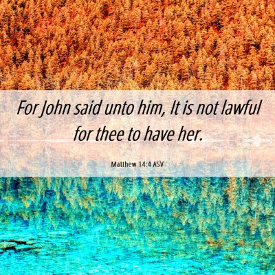 Picture 06 - Matthew 14:4 ASV - For John said unto him, It is not lawful for thee - Bible Verse Picture