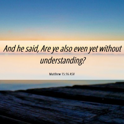 Picture 06 - Matthew 15:16 ASV - And he said, Are ye also even yet without - Bible Verse Picture