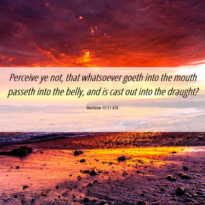 Picture 06 - Matthew 15:17 ASV - Perceive ye not, that whatsoever goeth into the - Bible Verse Picture