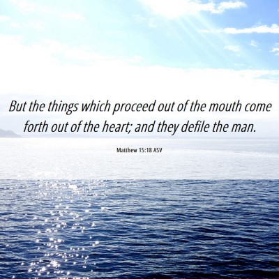 Picture 06 - Matthew 15:18 ASV - But the things which proceed out of the mouth - Bible Verse Picture