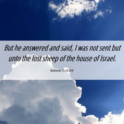 Picture 06 - Matthew 15:24 ASV - But he answered and said, I was not sent but unto - Bible Verse Picture