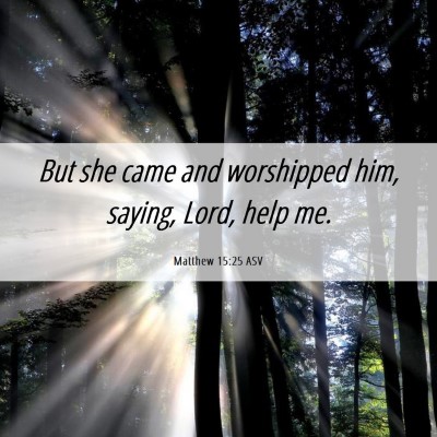 Picture 06 - Matthew 15:25 ASV - But she came and worshipped him, saying, Lord, - Bible Verse Picture