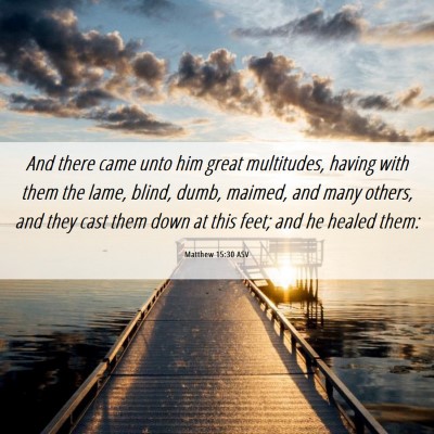 Picture 06 - Matthew 15:30 ASV - And there came unto him great multitudes, having - Bible Verse Picture
