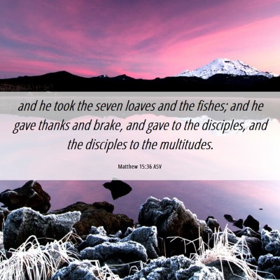 Picture 06 - Matthew 15:36 ASV - and he took the seven loaves and the fishes; and - Bible Verse Picture