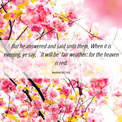 Picture 06 - Matthew 16:2 ASV - But he answered and said unto them, When it is - Bible Verse Picture