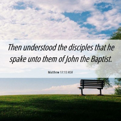Picture 06 - Matthew 17:13 ASV - Then understood the disciples that he spake unto - Bible Verse Picture