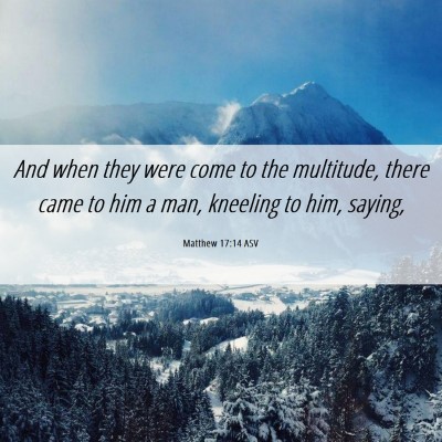 Picture 06 - Matthew 17:14 ASV - And when they were come to the multitude, there - Bible Verse Picture