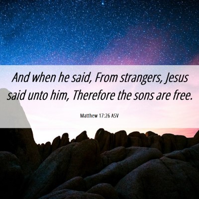 Picture 06 - Matthew 17:26 ASV - And when he said, From strangers, Jesus said unto - Bible Verse Picture