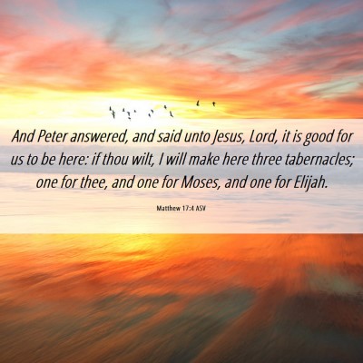 Picture 06 - Matthew 17:4 ASV - And Peter answered, and said unto Jesus, Lord, it - Bible Verse Picture