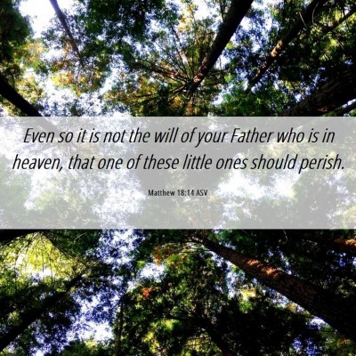 Picture 06 - Matthew 18:14 ASV - Even so it is not the will of your Father who is - Bible Verse Picture