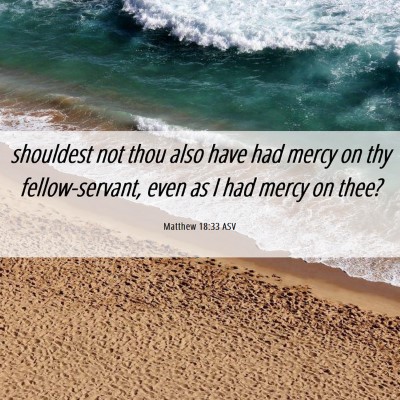 Picture 06 - Matthew 18:33 ASV - shouldest not thou also have had mercy on thy - Bible Verse Picture