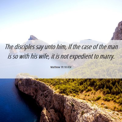 Picture 06 - Matthew 19:10 ASV - The disciples say unto him, If the case of the - Bible Verse Picture
