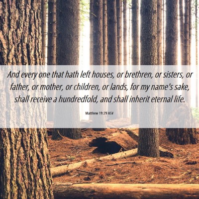 Picture 06 - Matthew 19:29 ASV - And every one that hath left houses, or brethren, - Bible Verse Picture