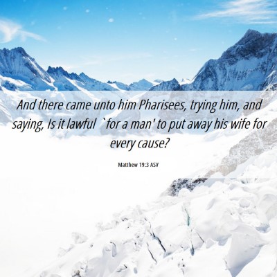 Picture 06 - Matthew 19:3 ASV - And there came unto him Pharisees, trying him, - Bible Verse Picture