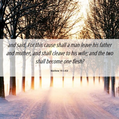 Picture 06 - Matthew 19:5 ASV - and said, For this cause shall a man leave his - Bible Verse Picture