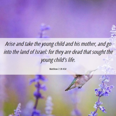 Picture 06 - Matthew 2:20 ASV - Arise and take the young child and his mother, - Bible Verse Picture