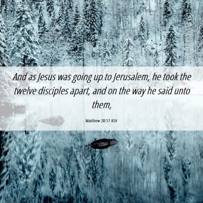 Picture 06 - Matthew 20:17 ASV - And as Jesus was going up to Jerusalem, he took - Bible Verse Picture