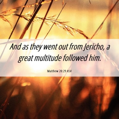 Picture 06 - Matthew 20:29 ASV - And as they went out from Jericho, a great - Bible Verse Picture