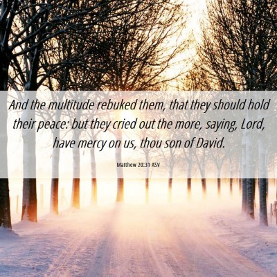 Picture 06 - Matthew 20:31 ASV - And the multitude rebuked them, that they should - Bible Verse Picture