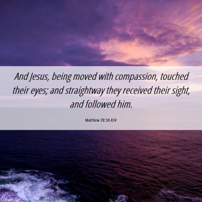 Picture 06 - Matthew 20:34 ASV - And Jesus, being moved with compassion, touched - Bible Verse Picture