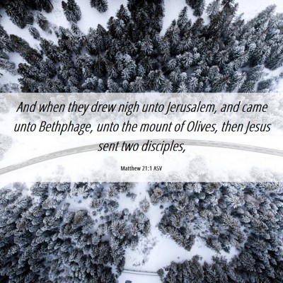 Picture 06 - Matthew 21:1 ASV - And when they drew nigh unto Jerusalem, and came - Bible Verse Picture