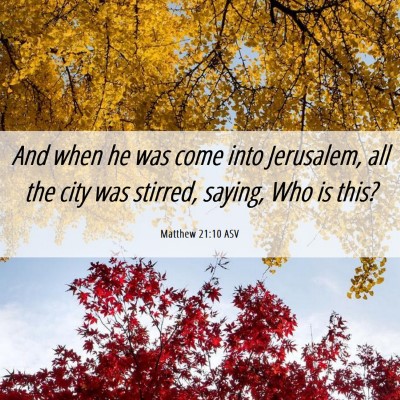 Picture 06 - Matthew 21:10 ASV - And when he was come into Jerusalem, all the city - Bible Verse Picture