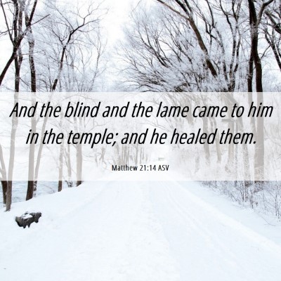 Picture 06 - Matthew 21:14 ASV - And the blind and the lame came to him in the - Bible Verse Picture