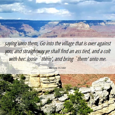 Picture 06 - Matthew 21:2 ASV - saying unto them, Go into the village that is - Bible Verse Picture
