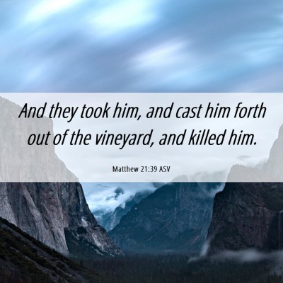 Picture 06 - Matthew 21:39 ASV - And they took him, and cast him forth out of the - Bible Verse Picture