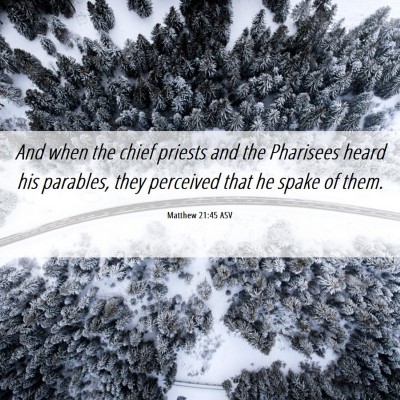 Picture 06 - Matthew 21:45 ASV - And when the chief priests and the Pharisees - Bible Verse Picture