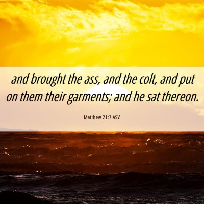 Picture 06 - Matthew 21:7 ASV - and brought the ass, and the colt, and put on - Bible Verse Picture