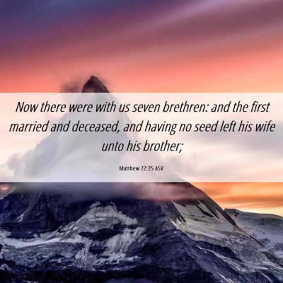 Picture 06 - Matthew 22:25 ASV - Now there were with us seven brethren: and the - Bible Verse Picture