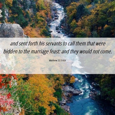 Picture 06 - Matthew 22:3 ASV - and sent forth his servants to call them that - Bible Verse Picture