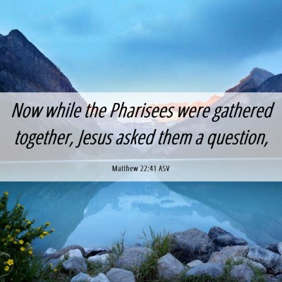 Picture 06 - Matthew 22:41 ASV - Now while the Pharisees were gathered together, - Bible Verse Picture